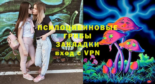 сатива Михайловск