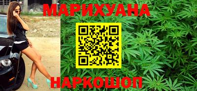 ALPHA PVP Гай