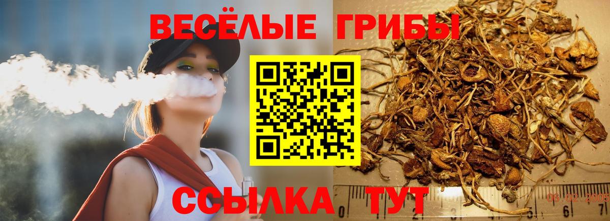 Кострома  Псилоцибиновые грибы Magic Shrooms  Вход с VPN 
