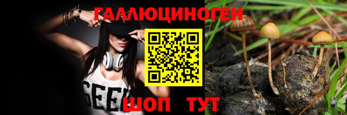 как найти закладки  Кострома  Галлюциногенные грибы Psilocybe 